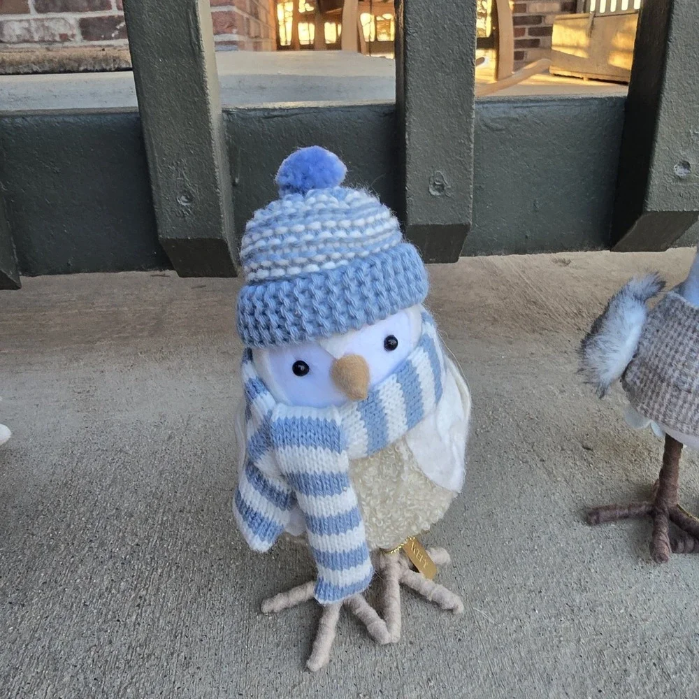 Lot of 4 Target Wondershop Winter Birds 2021/ 2022 Tricot,Flurry,Weft, Dewey,